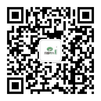 707118619221146895.jpg