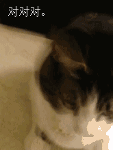 2.gif