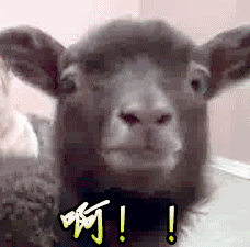 0_wx_fmt=gif&tp=webp&wxfrom=5&wx_lazy=1.gif