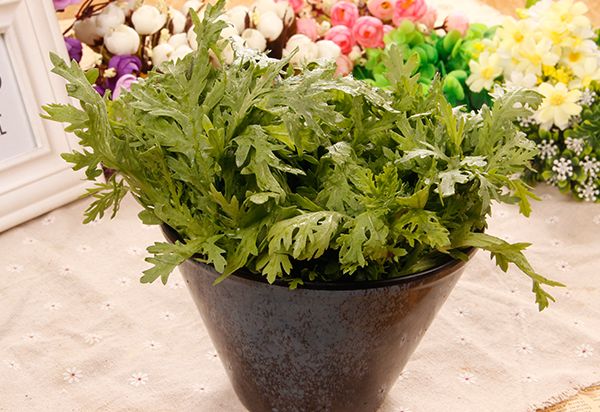 茼蒿菜
